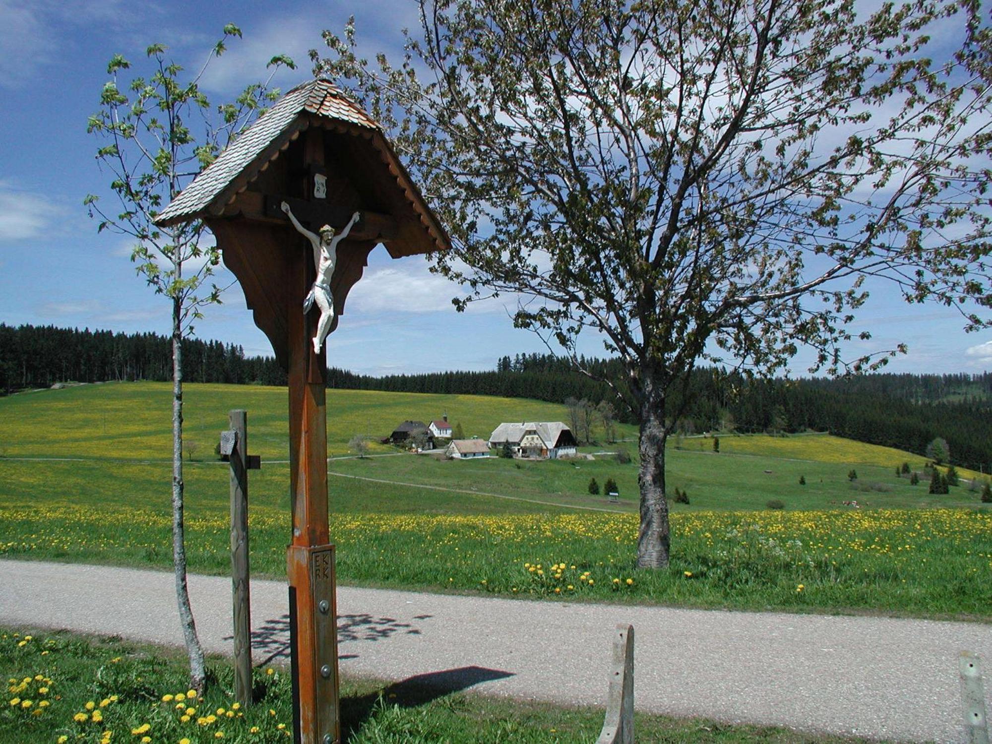 Café-Pension Feldbergblick Titisee-Neustadt Esterno foto